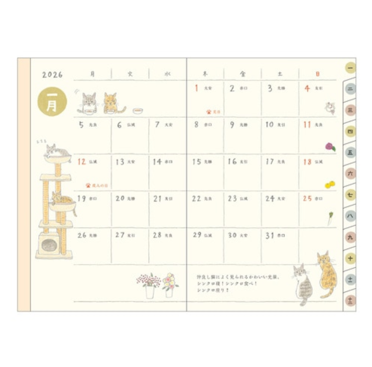 Midori Pocket Diary Mini 2026 | Cozy Cat