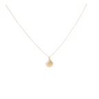 Clamshell Necklace