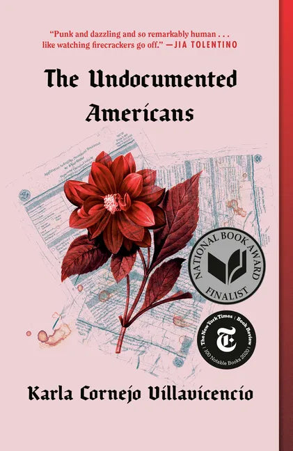 The Undocumented Americans - Paperback